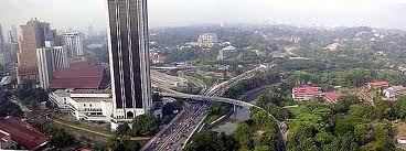 abres en milieu urbain