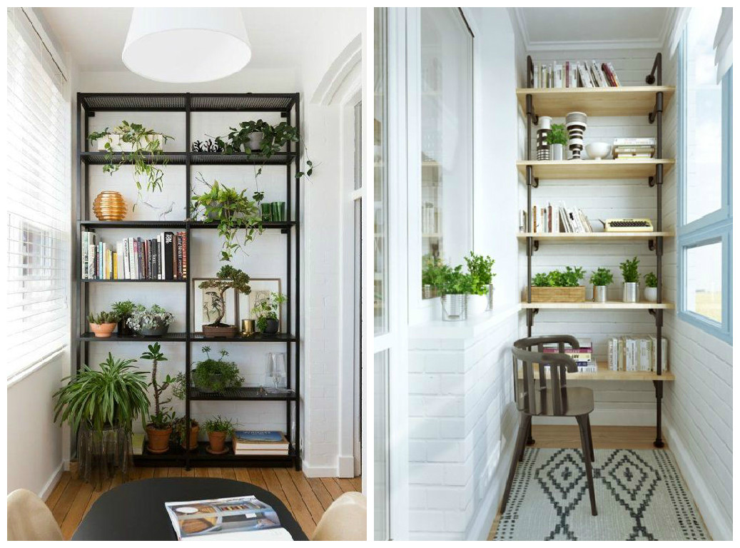 Plantes d'intérieur : décorez avec des plantes vertes !
