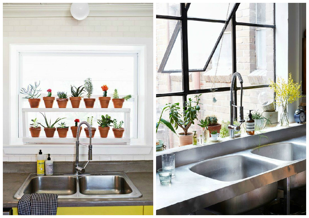 Plantes d'intérieur : décorez avec des plantes vertes !
