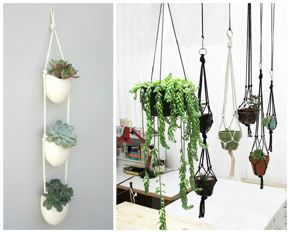 Plantes d'intérieur : décorez avec des plantes vertes