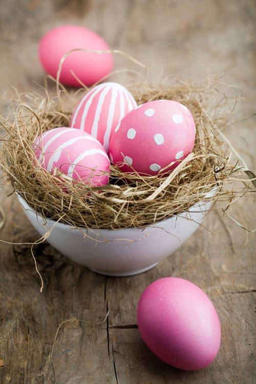 Painted easter egg in little bird nest Easter 2015