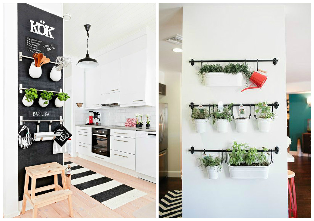Plantes d'intérieur : décorer votre espace avec des plantes vertes !