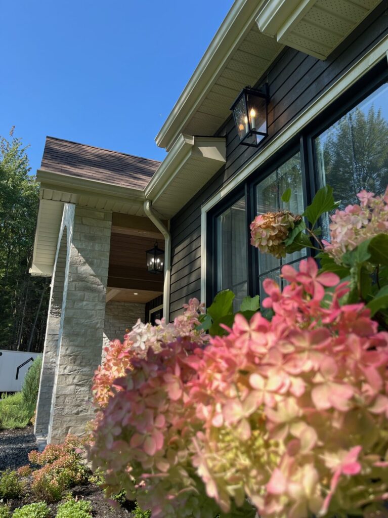 améganement paysagé extérieur hydrangée sur tige