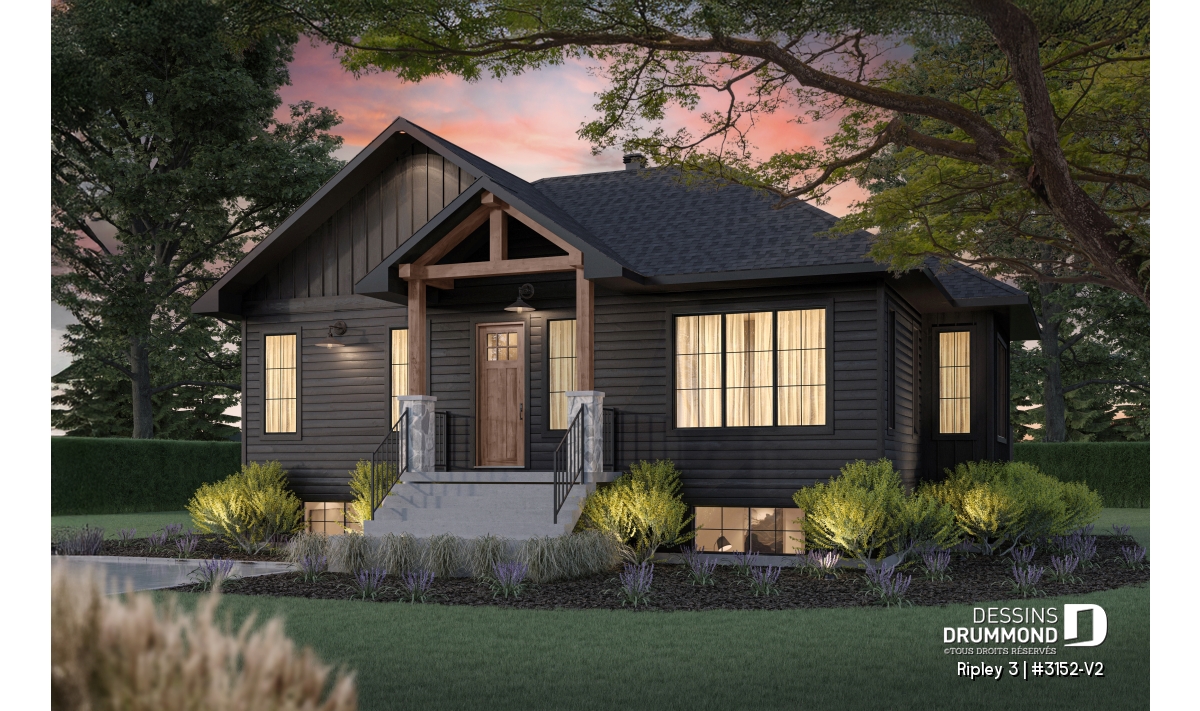 Maison noire Ripley 3 #3152-V2 avec porte et accents de bois naturel